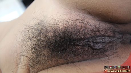 The Asian teen Giaw gets her hairy pussy plugged by a horny guy